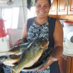 Megérkezett a friss hal: tucunaré Megérkezett a friss hal: tucunaré